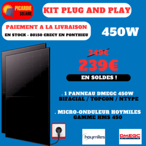 kit solaire plug and play 1 panneau sans support sol 450w