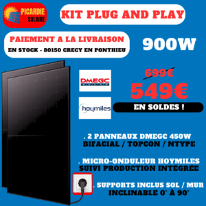 kit solaire plug and play 2 panneaux avec support sol 900w