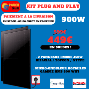 kit solaire plug and play 2 panneaux sans support sol 900w